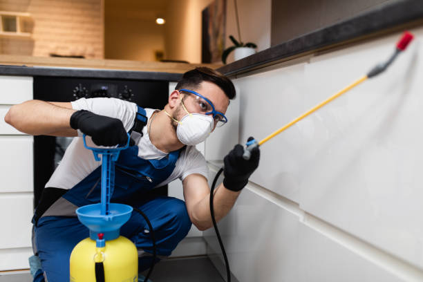 Best Pest Inspection Near Me  in Iyanbito, NM