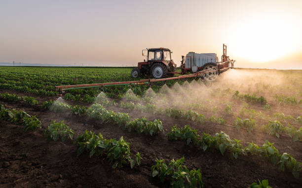 Best Best Pest Control Companies  in Iyanbito, NM