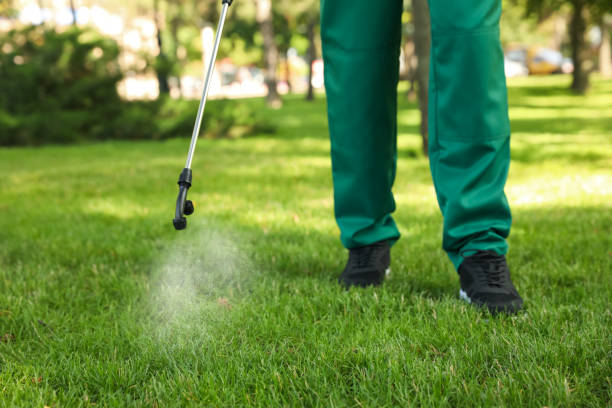 Best Flea Control Services  in Iyanbito, NM