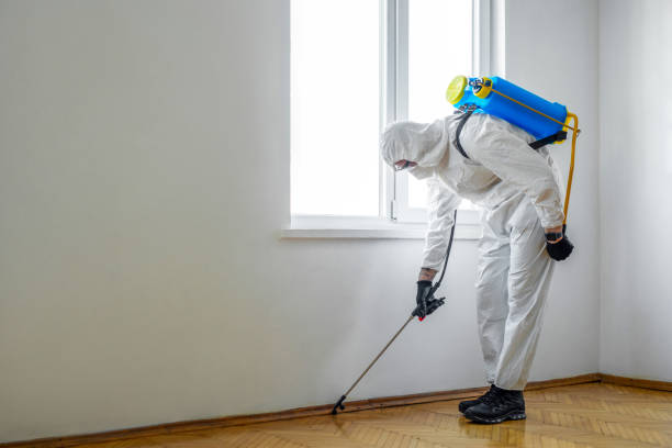 Best Wildlife Control Services  in Iyanbito, NM