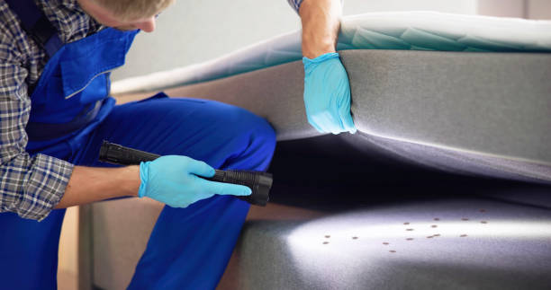 Best Mosquito Control Services  in Iyanbito, NM
