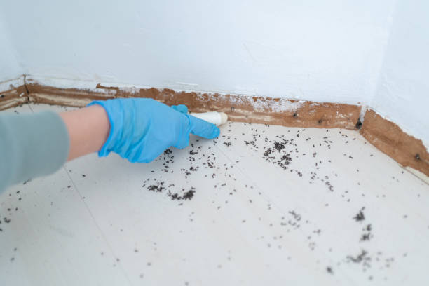 Best Exterminator Services  in Iyanbito, NM