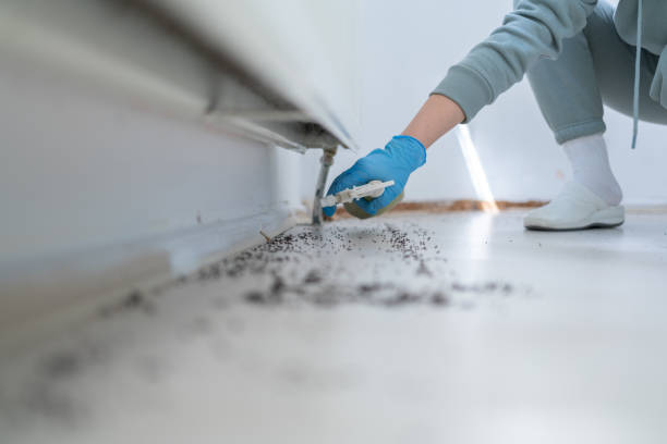 Best Residential Pest Control  in Iyanbito, NM