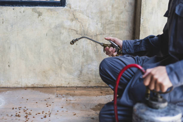 Best Ant Control Services  in Iyanbito, NM